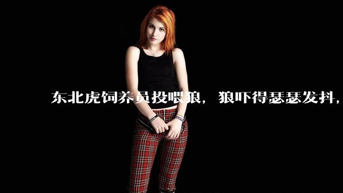 东北虎饲养员投喂狼，狼吓得瑟瑟发抖，真的是「血脉压制」吗？可能是哪些原因造成的？